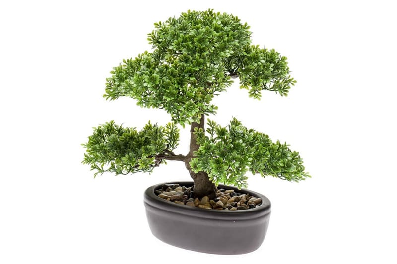 Emerald Konstväxt bonsaiträd fikus mini grön 32 cm 420002 - Balkongblommor - Konstgjorda växter & plastväxter