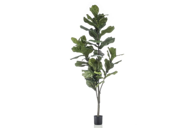 Emerald Konstväxt fiolfikus 160 cm - Balkongblommor - Konstgjorda växter & plastväxter