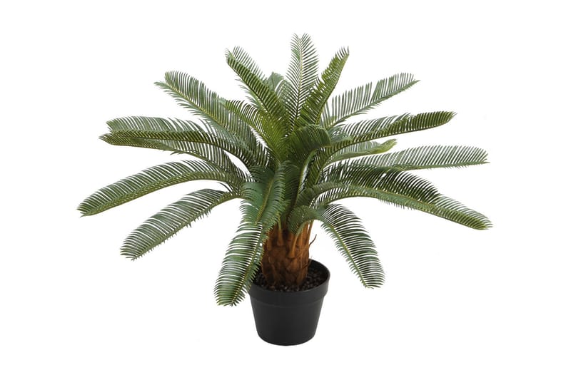 Grön växt CYCAS H70cm svart kruka - Balkongblommor - Konstgjorda växter & plastväxter