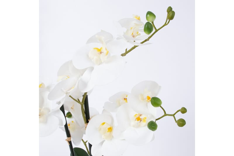 In Garden Konstväxt Orkide Vit - Balkongblommor - Konstgjorda växter & plastväxter