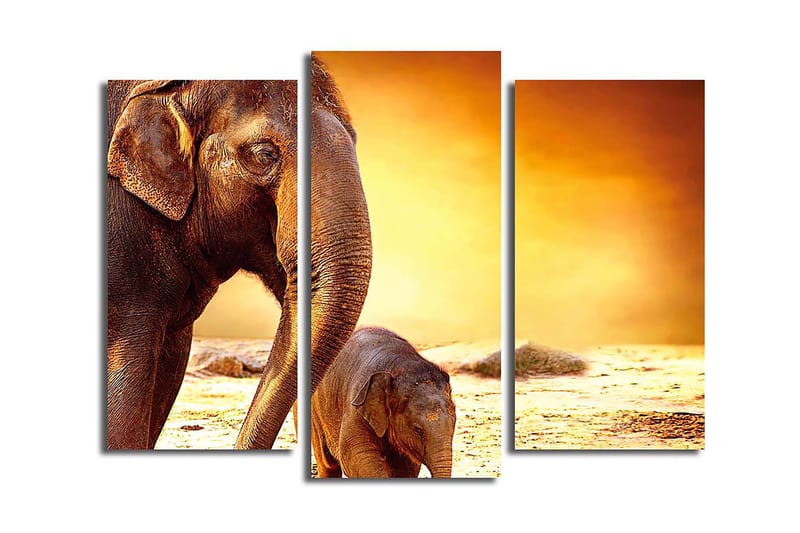 Canvastavla Animal 3-pack Flerfärgad - 20x39 cm - Canvastavlor
