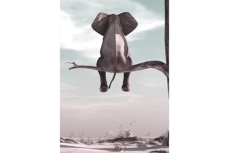 Elephant Poster 50x70 cm - Multifärgad - Posters & prints