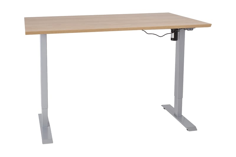 Ergosum 1 Skrivbord 160 cm Höj-och Sänkbar Elektrisk - Hickory - Höj och sänkbart skrivbord - Skrivbord