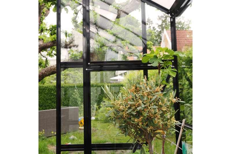 Marvell Växthus 6,4m² - Antracit - Växthus - Fristående växthus