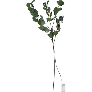 Eucalyptus Dekorationskvist 30 cm - grön - Belysning & el - Inomhusbelysning & lampor - Dekorationsbelysning