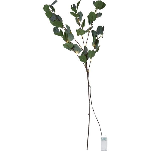 Eucalyptus Dekorationskvist 30 cm - grön - Belysning & el - Inomhusbelysning & lampor - Dekorationsbelysning