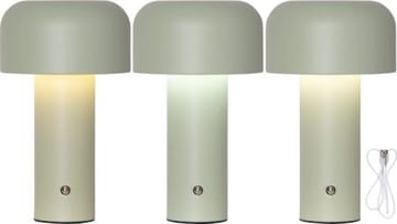 Bobby Bordslampa 12.5 cm - ljusgrön - Belysning & el - Inomhusbelysning & lampor - Fönsterlampa - Fönsterlampa på fot