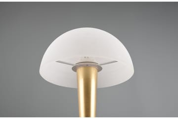 Canaria Bordslampa E14 (inkl.) mattmässing - Matt mässing - Belysning & el - Inomhusbelysning & lampor - Fönsterlampa - Fönsterlampa på fot