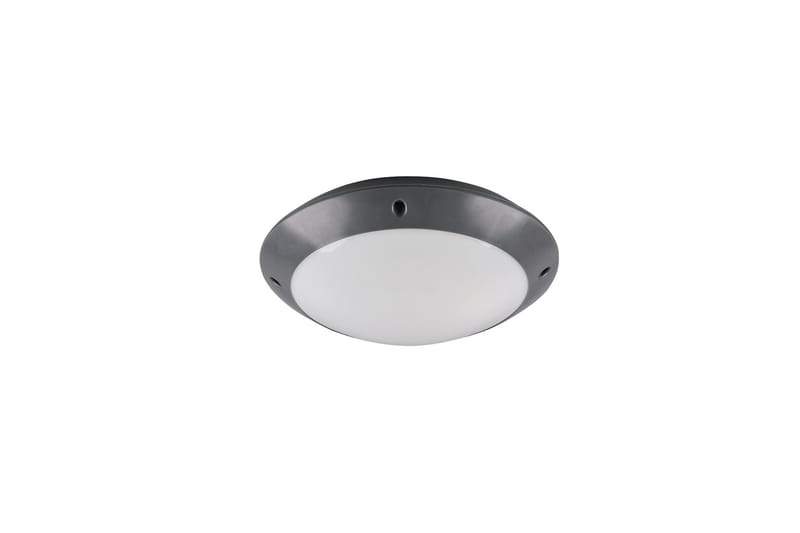 Camaro Plafond 26cm E27 antracit - Antracit - Belysning & el - Inomhusbelysning & lampor - Fönsterlampa - Fönsterlampa hängande