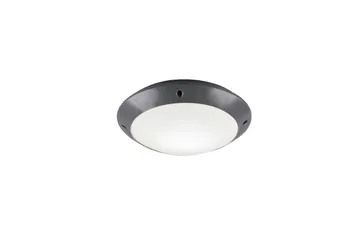 Camaro Plafond 26cm E27 antracit - Antracit - Belysning & el - Inomhusbelysning & lampor - Fönsterlampa - Fönsterlampa hängande