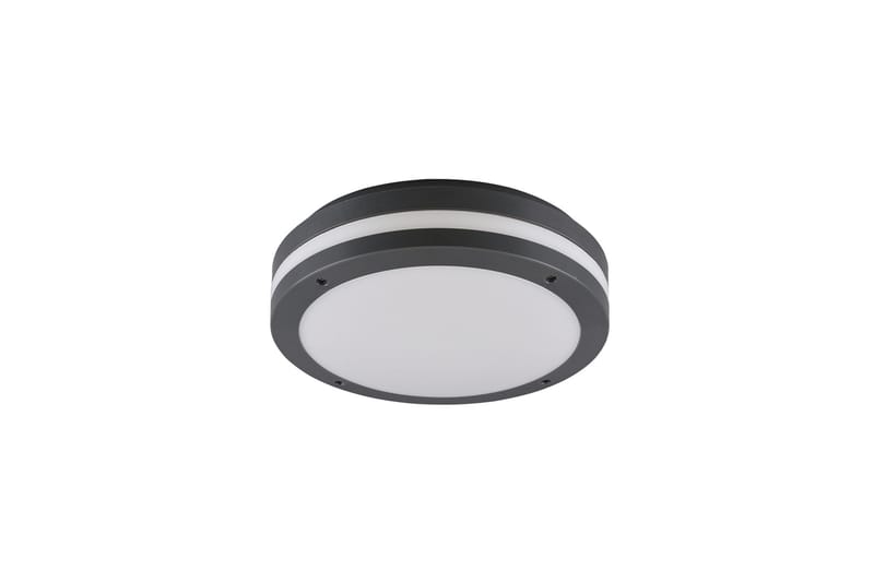 Kendal LED Plafond antracit - Vit - Belysning & el - Inomhusbelysning & lampor - Fönsterlampa - Fönsterlampa hängande
