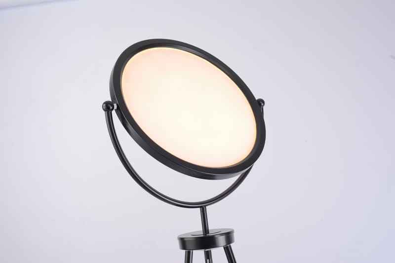 CARL golvlampa, svart - Svart - Belysning & el - Inomhusbelysning & lampor - Golvlampa