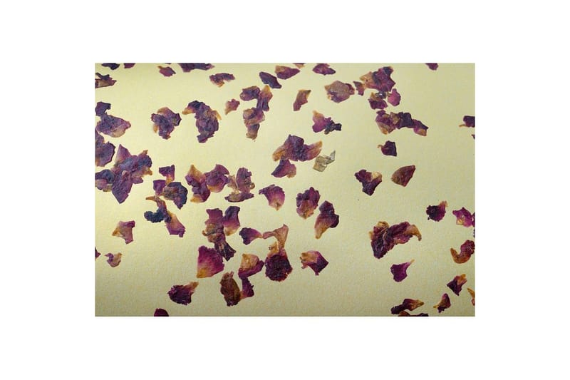 Golvlampa Eglo Castuera Guld med Rosblad - Belysning & el - Inomhusbelysning & lampor - Sovrumslampa