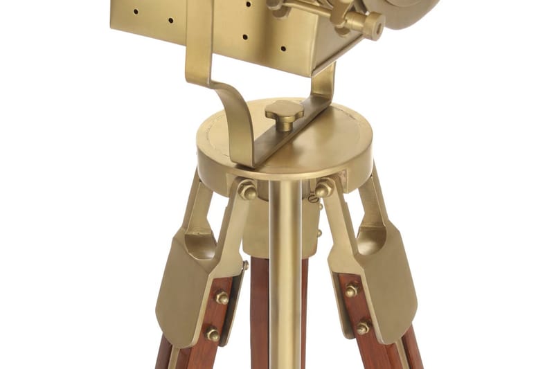 Golvlampa massivt mangoträ 193 cm - Brun - Belysning & el - Inomhusbelysning & lampor - Golvlampa