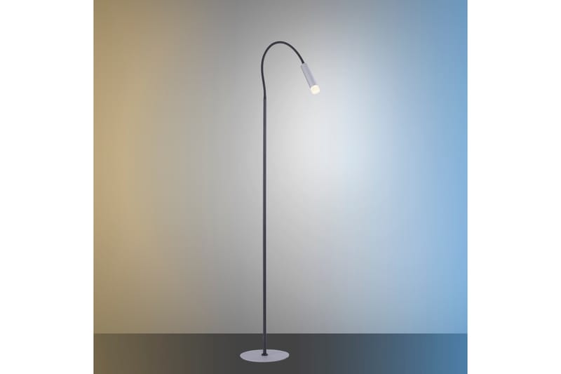 PURE-GEMIN golvlampa, aluminium - Grå - Sovrumslampa - Vardagsrumslampa - Golvlampa