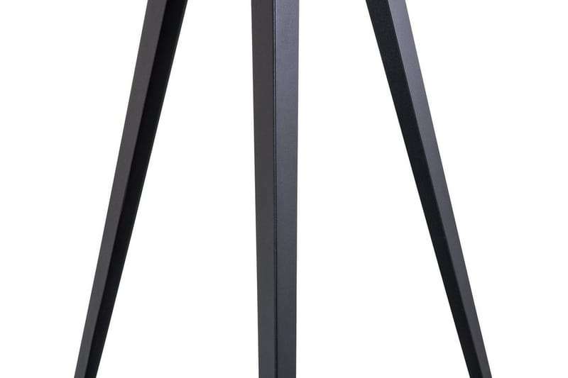 Stiletto Golvlampa 156 cm - Svart - Sovrumslampa - Vardagsrumslampa - Golvlampa