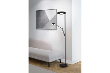 Golvlampa TRIO Barrie Mattsvart - Mattsvart - Belysning & el - Inomhusbelysning & lampor - Golvlampa - Tvåarmad golvlampa