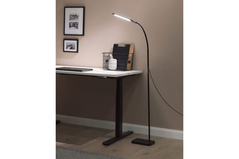 Kaloma Golvlampa 174 cm - Svart - Belysning & el - Inomhusbelysning & lampor - Sovrumslampa