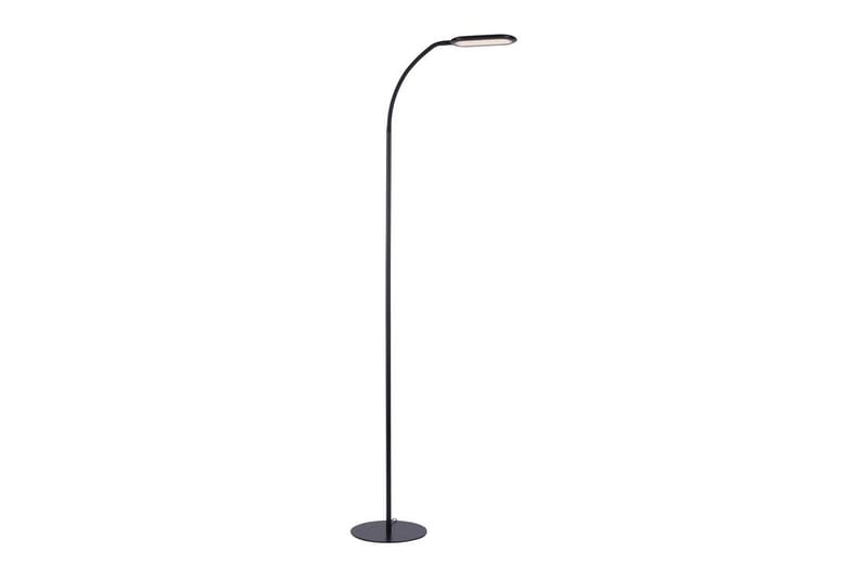 Kelly Just Light Golvlampa, Black