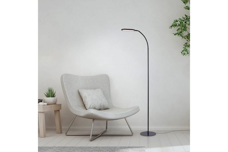 Kelly Just Light Golvlampa - Black - Belysning & el - Inomhusbelysning & lampor - Sovrumslampa
