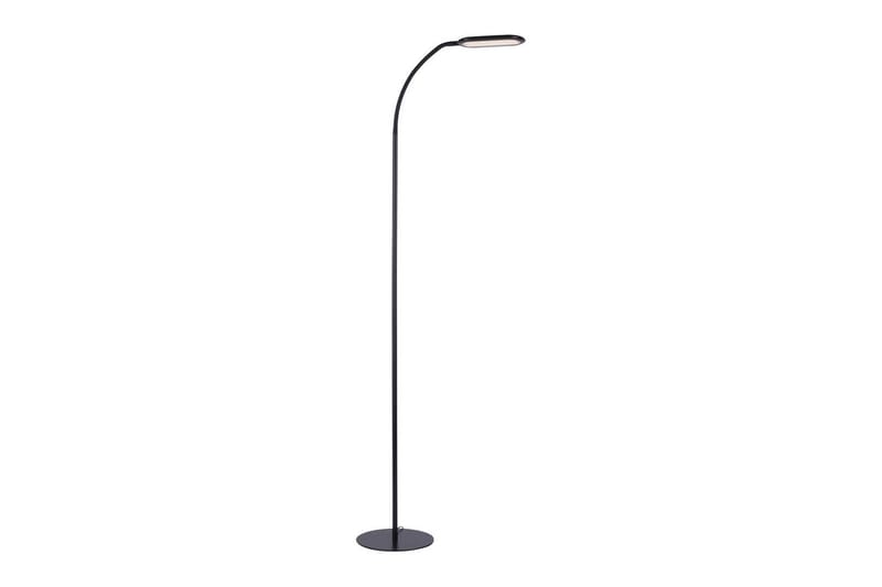 Kelly Just Light Golvlampa, Black