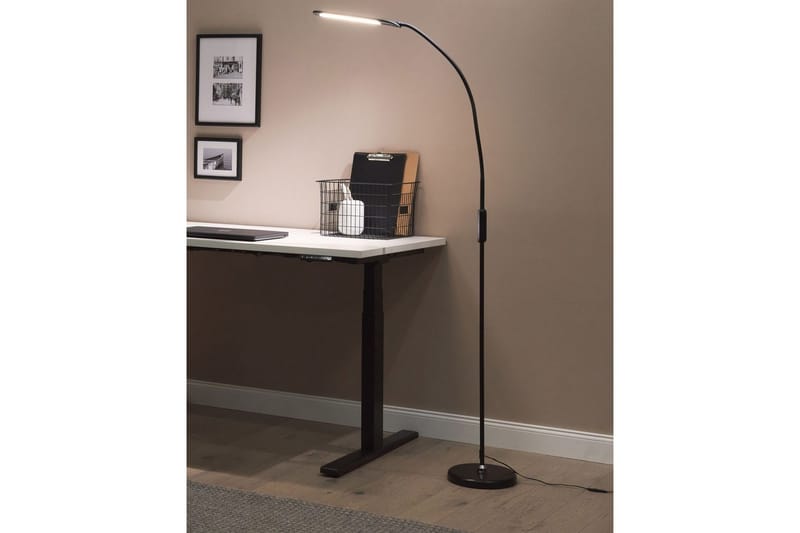 Linose Golvlampa 200 cm - Svart - Belysning & el - Inomhusbelysning & lampor - Sovrumslampa