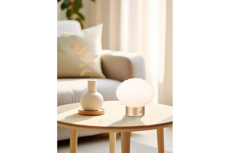 Bordslampa TRIO Earl Mattmässing/vit - Mattmässing/vit - Belysning & el - Inomhusbelysning & lampor - Sänglampor & nattduksbordslampa - Sänglampa bord