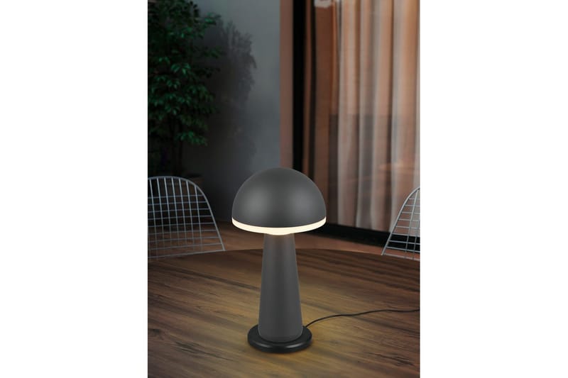 Bordslampa TRIO Fungo Antracit - Antracit - Belysning & el - Inomhusbelysning & lampor - Sänglampor & nattduksbordslampa - Sänglampa bord