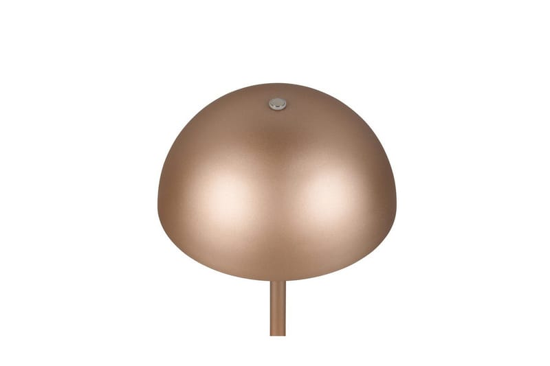 Bordslampa TRIO Munoz Kaffebrun - Kaffebrun - Belysning & el - Inomhusbelysning & lampor - Sänglampor & nattduksbordslampa - Sänglampa bord