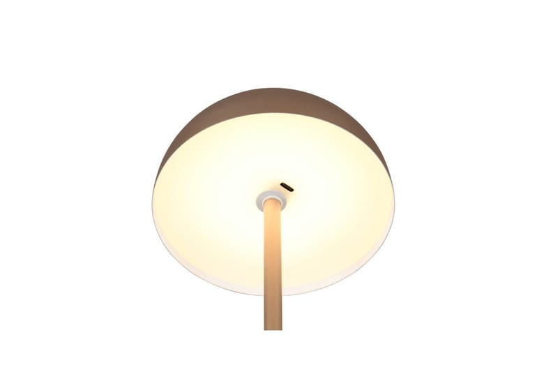 Bordslampa TRIO Munoz Kaffebrun - Kaffebrun - Belysning & el - Inomhusbelysning & lampor - Sänglampor & nattduksbordslampa - Sänglampa bord