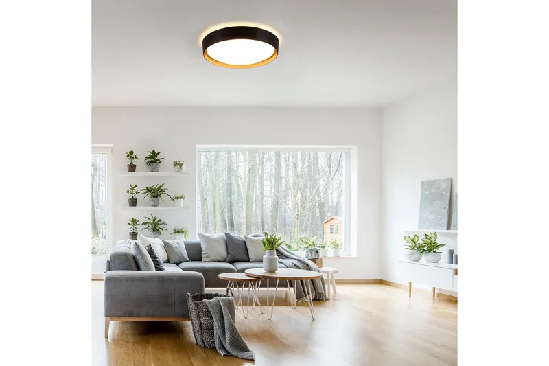 Emilia Just Light Taklampa - Black - Belysning & el - Inomhusbelysning & lampor - Sovrumslampa - Taklampa sovrum