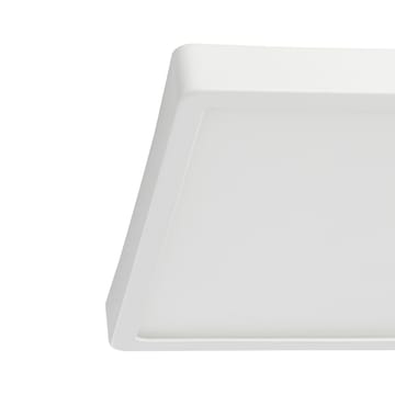 Plafond Argolis 285x285 mm - Vit - Belysning & el - Inomhusbelysning & lampor - Sovrumslampa - Taklampa sovrum