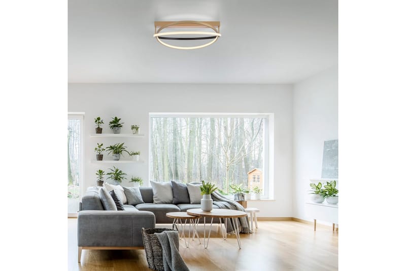 Q-Beluga Paul Neuhaus Taklampa - Brass - Belysning & el - Inomhusbelysning & lampor - Sovrumslampa - Taklampa sovrum