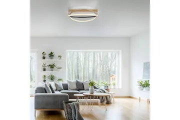 Q-Beluga Paul Neuhaus Taklampa - Brass - Belysning & el - Inomhusbelysning & lampor - Sovrumslampa - Taklampa sovrum