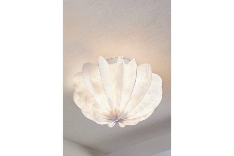 Tak-/Vägglampa Dalia - Belysning & el - Inomhusbelysning & lampor - Sovrumslampa - Taklampa sovrum