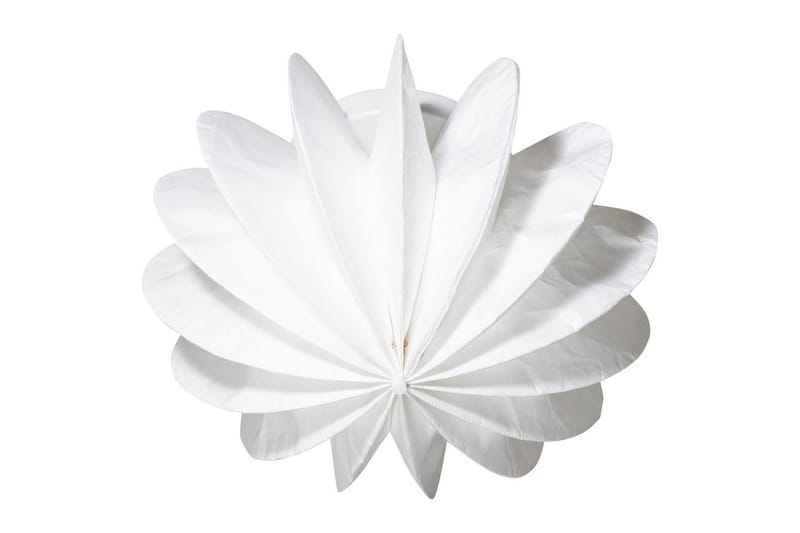 Tak-/Vägglampa Dalia - Belysning & el - Inomhusbelysning & lampor - Sovrumslampa - Taklampa sovrum