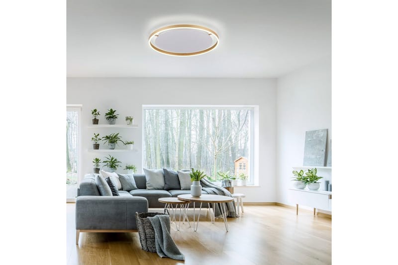 Taklampa Ritus - 58,5x5,3x58,5 cm, Matt mässing - Belysning & el - Inomhusbelysning & lampor - Sovrumslampa - Taklampa sovrum