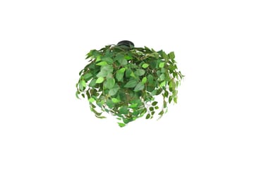 Taklampa TRIO Leavy 70 cm - 70 cm - Belysning & el - Inomhusbelysning & lampor - Sovrumslampa - Taklampa sovrum