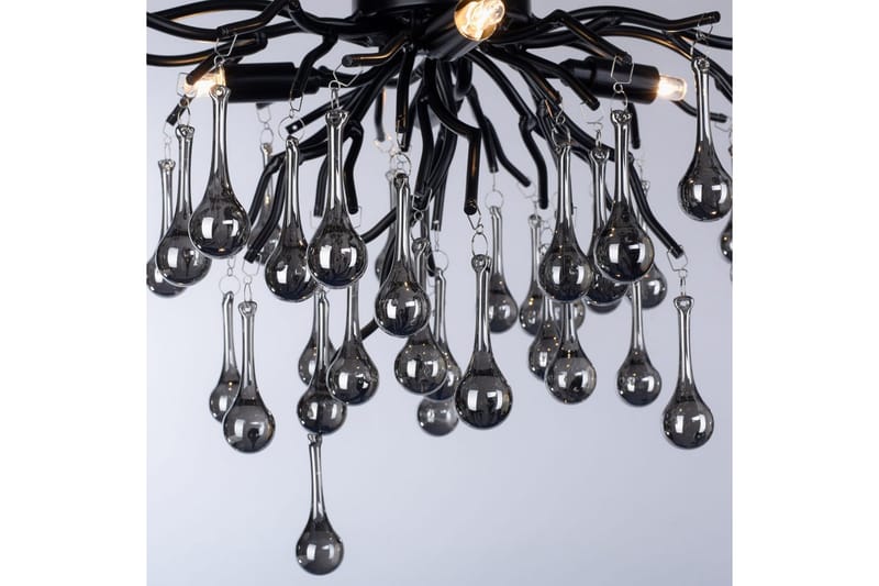 Istapp Paul Neuhaus Taklampa - Black - Belysning & el - Inomhusbelysning & lampor - Taklampa & takbelysning - Pendellampor & hänglampor