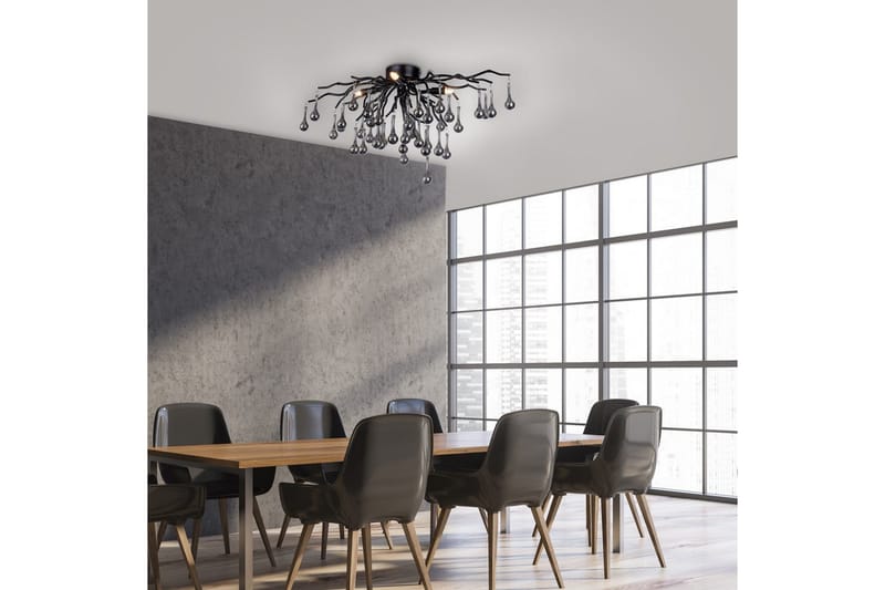 Istapp Paul Neuhaus Taklampa - Black - Belysning & el - Inomhusbelysning & lampor - Taklampa & takbelysning - Pendellampor & hänglampor