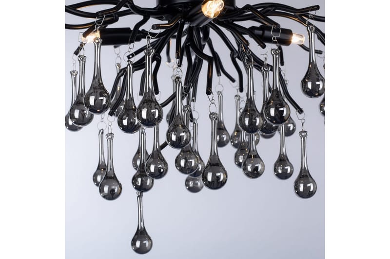 Istapp Paul Neuhaus Taklampa - Black - Belysning & el - Inomhusbelysning & lampor - Taklampa & takbelysning - Pendellampor & hänglampor