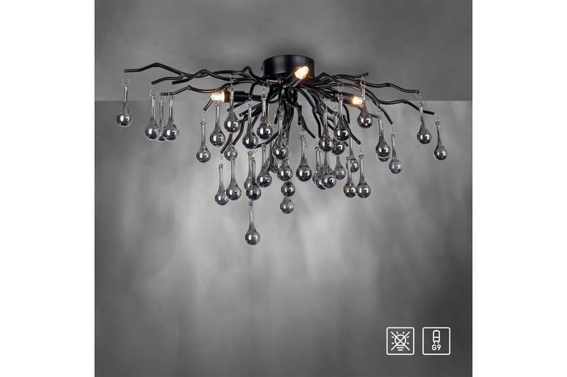 Istapp Paul Neuhaus Taklampa - Black - Belysning & el - Inomhusbelysning & lampor - Taklampa & takbelysning - Pendellampor & hänglampor