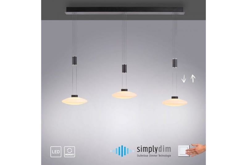 Lautada Paul Neuhaus Taklampa - Black - Belysning & el - Inomhusbelysning & lampor - Taklampa & takbelysning - Pendellampor & hänglampor