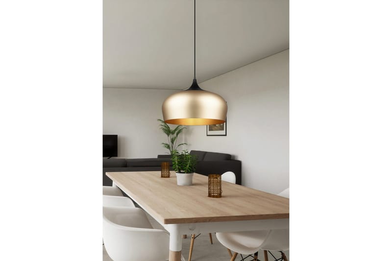 Pendel TRIO Chiron - Belysning & el - Inomhusbelysning & lampor - Taklampa & takbelysning - Pendellampor & hänglampor