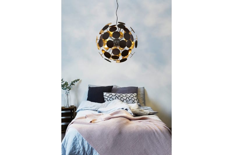 Pendel TRIO Discalgo Mattsvart - Mattsvart - Belysning & el - Inomhusbelysning & lampor - Taklampa & takbelysning - Pendellampor & hänglampor