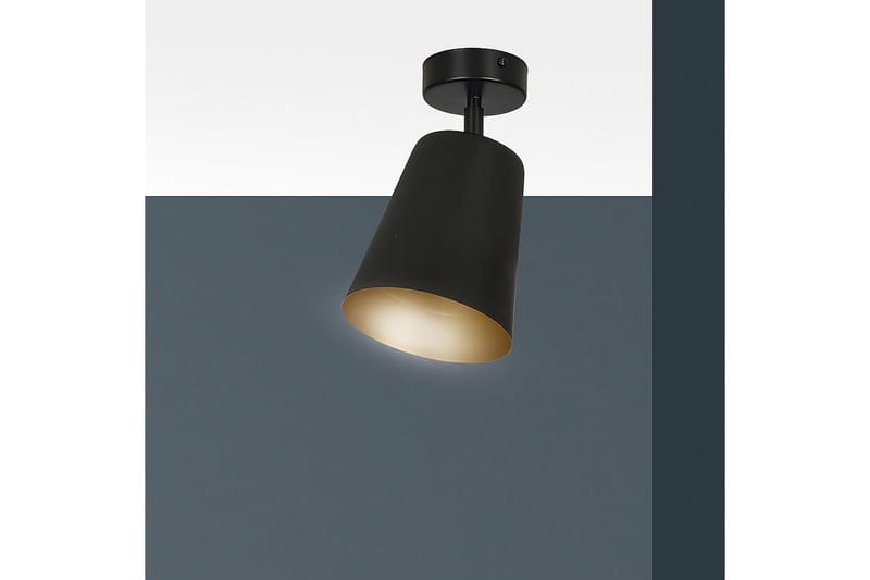 Prism 1 pendel Svart - Scandinavian Choice - Taklampa kök - Fönsterlampa hängande - Fönsterlampa - Pendellampor & hänglampor - Sovrumslampa - Vardagsrumslampa