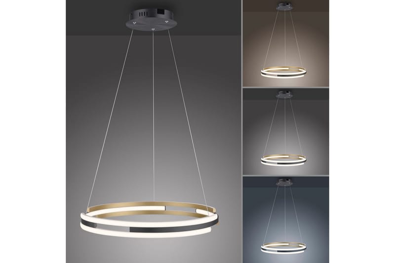 Q-Beluga Paul Neuhaus Taklampa - Brass - Belysning & el - Inomhusbelysning & lampor - Taklampa & takbelysning - Pendellampor & hänglampor