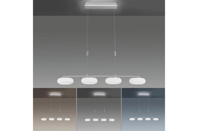 Q-Etienne Paul Neuhaus Taklampa - Grey - Belysning & el - Inomhusbelysning & lampor - Taklampa & takbelysning - Pendellampor & hänglampor