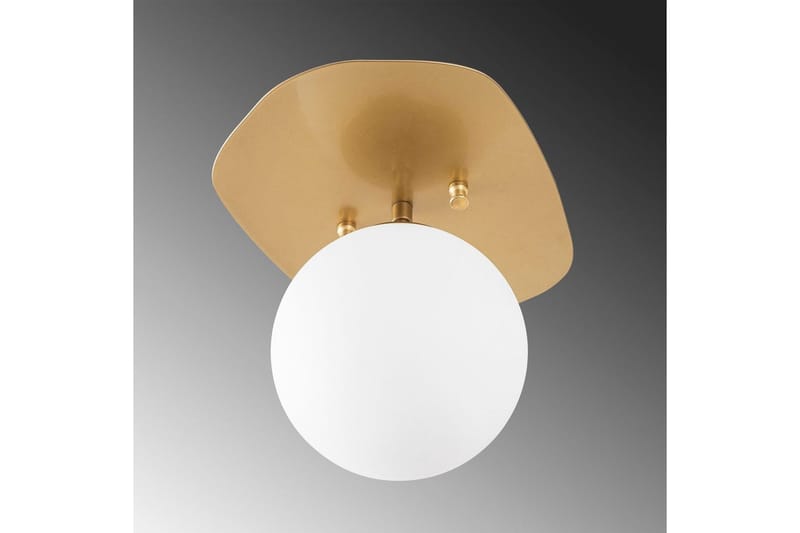 Taklampa Ariofield (20 x 25 x 25 cm) Rany - Rany - Belysning & el - Inomhusbelysning & lampor - Taklampa & takbelysning - Plafond