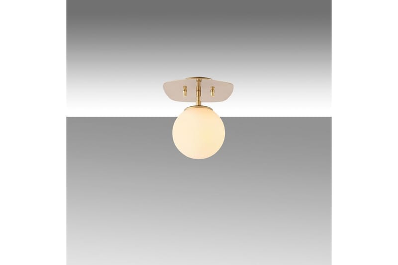 Taklampa Ariofield (20 x 25 x 25 cm) Rany - Rany - Belysning & el - Inomhusbelysning & lampor - Taklampa & takbelysning - Plafond
